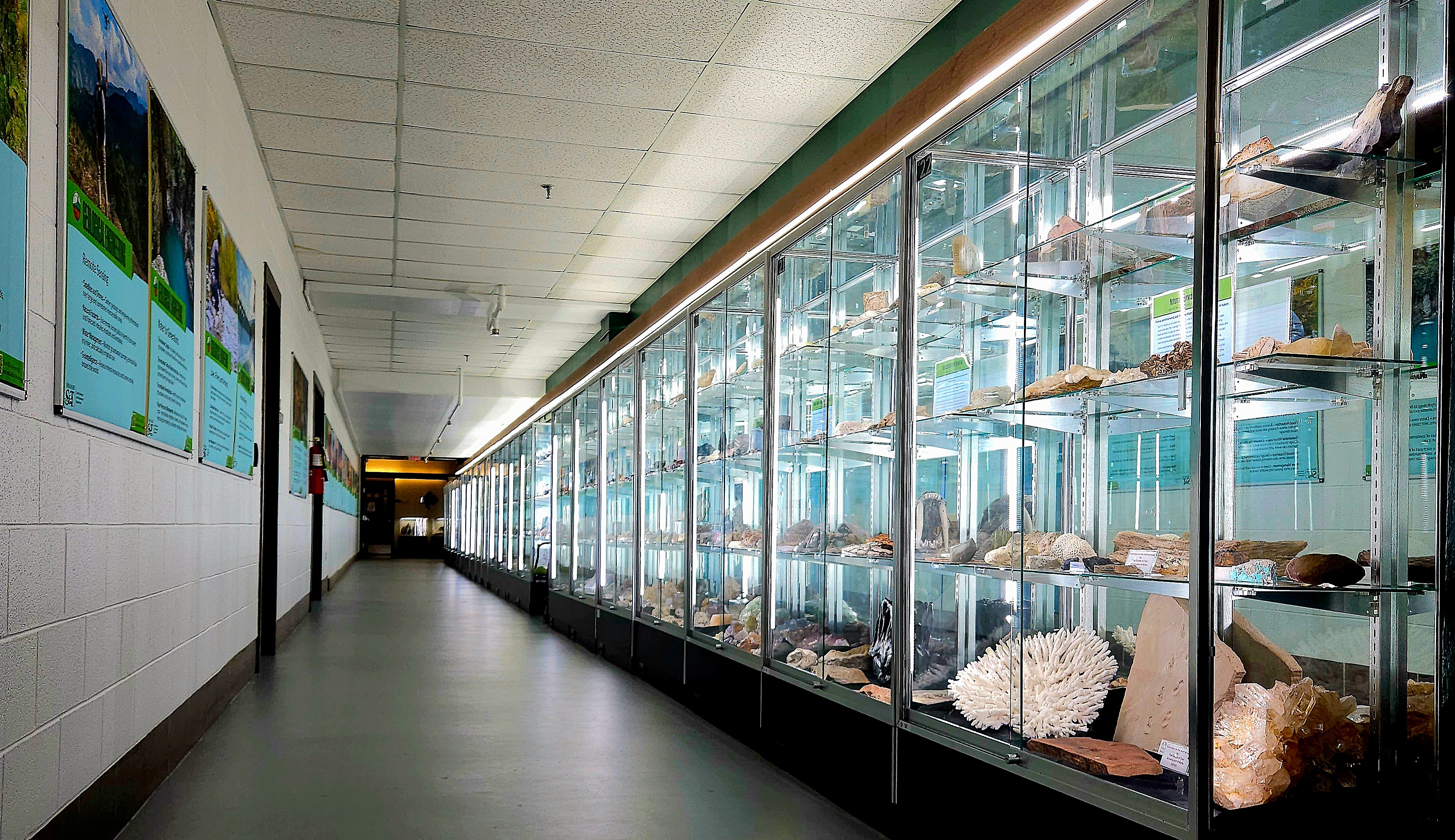 A wide shot of the ESE Mineral Museum hallway with a row of display cases along the right wall containing various minerals, crystals, and fossils